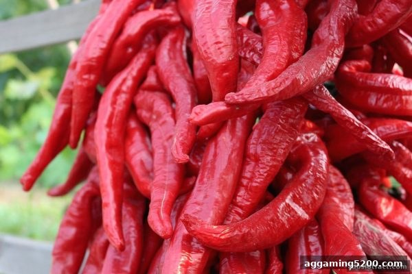 深度解析血战麻将：规则、策略与jdb电子假吗平台的靠谱选择