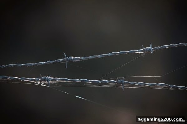 吞吐期深度解析：jdb电子假吗？揭秘在线娱乐平台的真实运作与理性策略